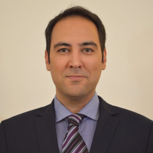 Headshot Of Dr. Hamid Motallebzadeh