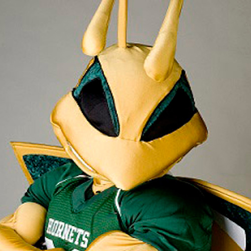 Herky the Hornet